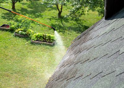 Damaged Roof Shingles